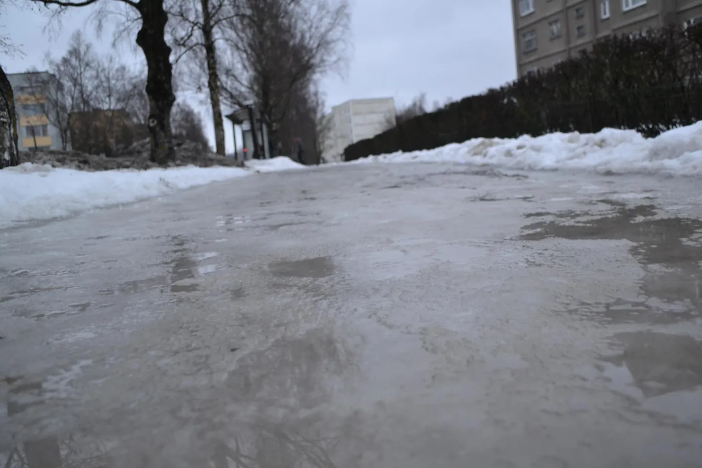 Riia maantee kõnnitee Selveri ja Rimi vahelisel lõigul. Midagi sellist, mis peaks aitama libeduse vastu, polnud sinna puistatud nädalavahetusel ega esmaspäeva hommikul.