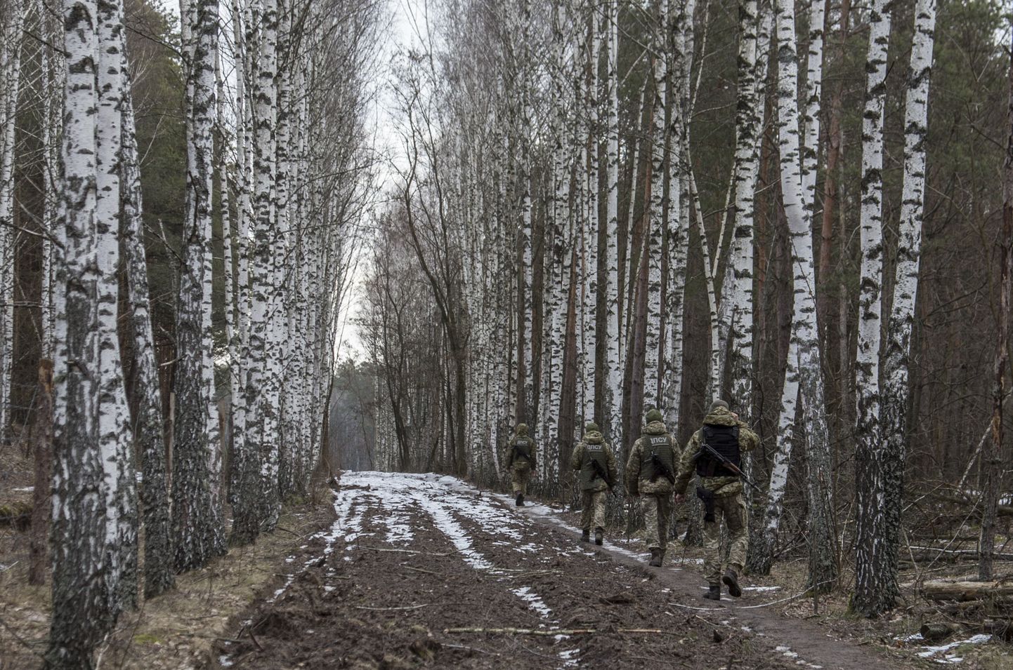 Ukrainas militārie spēki.