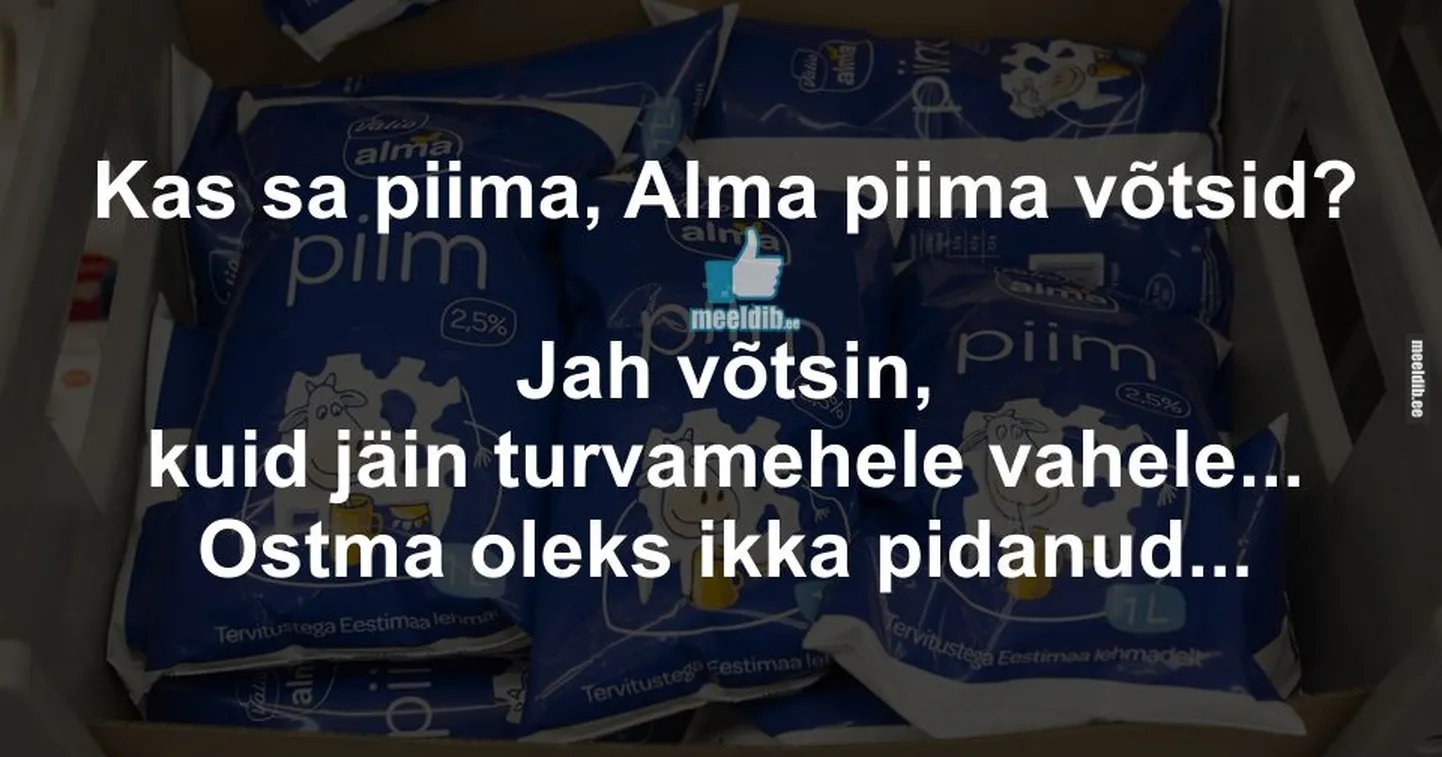 Artikli foto