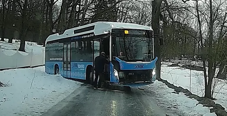 "У имеющего зимний скандинавский опыт водителя автобуса были трудности с тем, чтобы удержаться на ногах возле съехавшего на обочину в Сака автобуса, но ведь уровень скользкости дороги отвечал требованиям", - прокомментировал Хейки Лутс.