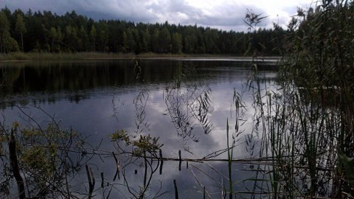 Martiska järve veetase oli 22. augustil 62 cm madalam kui mullu kevadel.