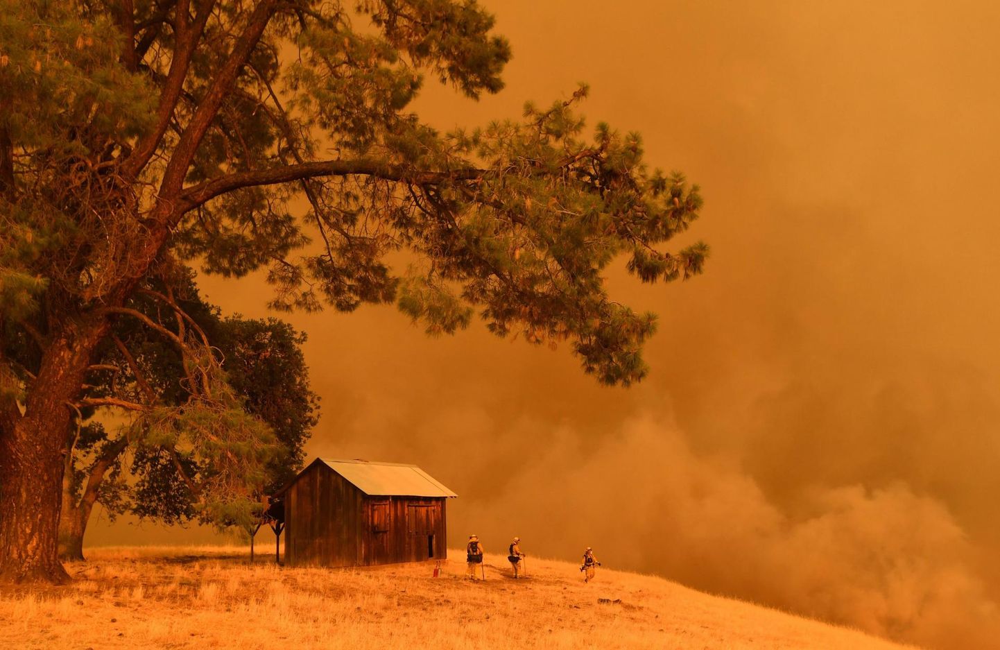 Tuletõrjujad vaatavad abitult, kuidas mullusuvise maastikupõlengu leegid Ameerika Ühendriikide läänerannikul Guindas California osariigis piki mäekülge üles ronivad.