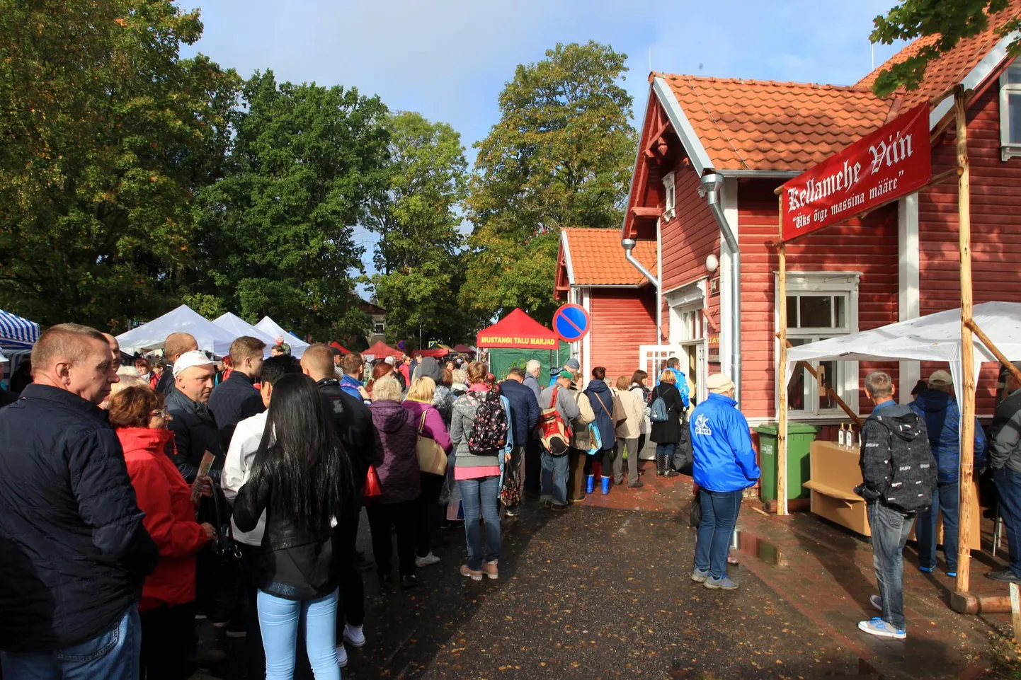 Paunvere laada üks peategelasi on kuulus Punsli õli, mille soetamiseks on inimesed nõus apteegi ukse taga pikas järjekorras seisma.