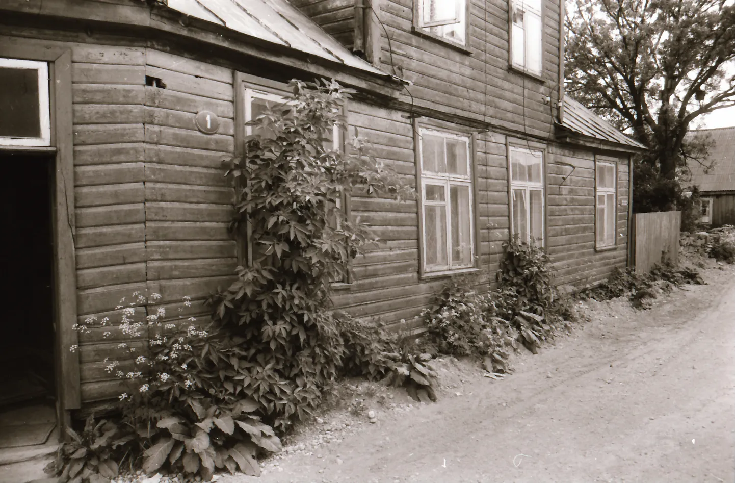 Artikli foto