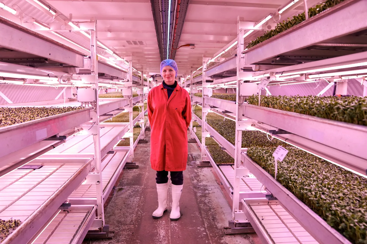 Zero Carbon Farmi äriarendusjuht Olivia O'Brien.