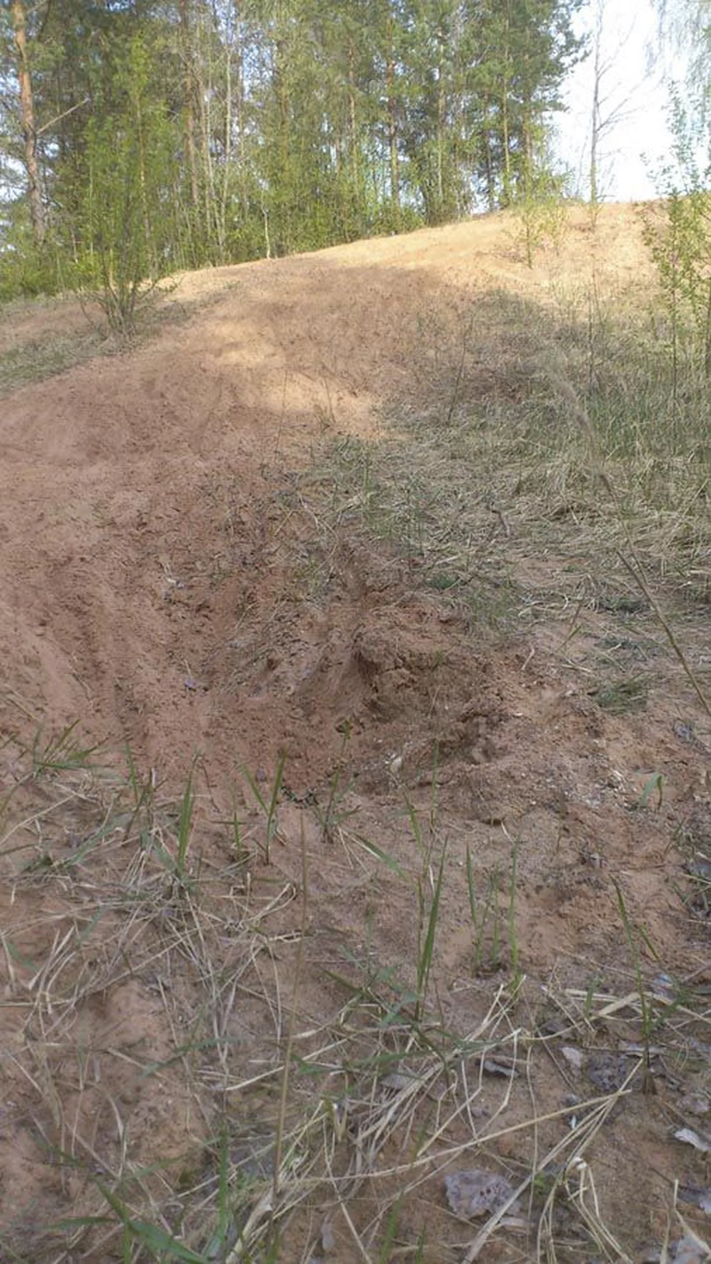 Selline nägi järsu ja liivase laskumise lõpp välja pärast seda, kui maraton oli lõppenud. Rajameistrite töö tulemusena jäi suurest august väike lohk, mis ei olnud maastikuratturitele ohtlik.
