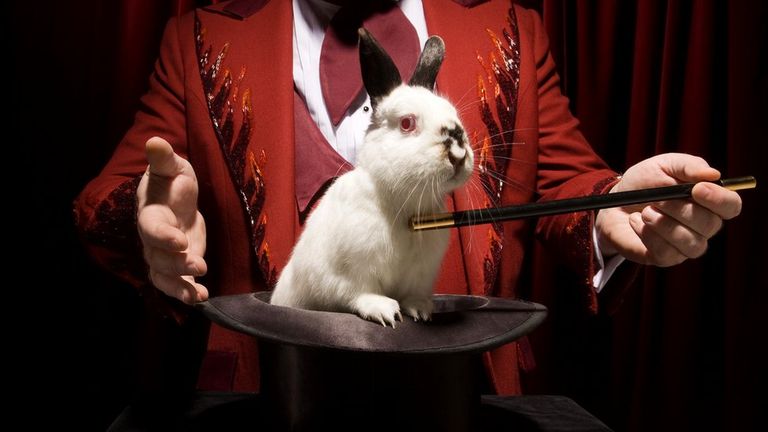 Во Франции и Испании кроликов ели с незапамятных времен, и только в первом столетии н.э. их стали брать в дом в качестве домашнего животного