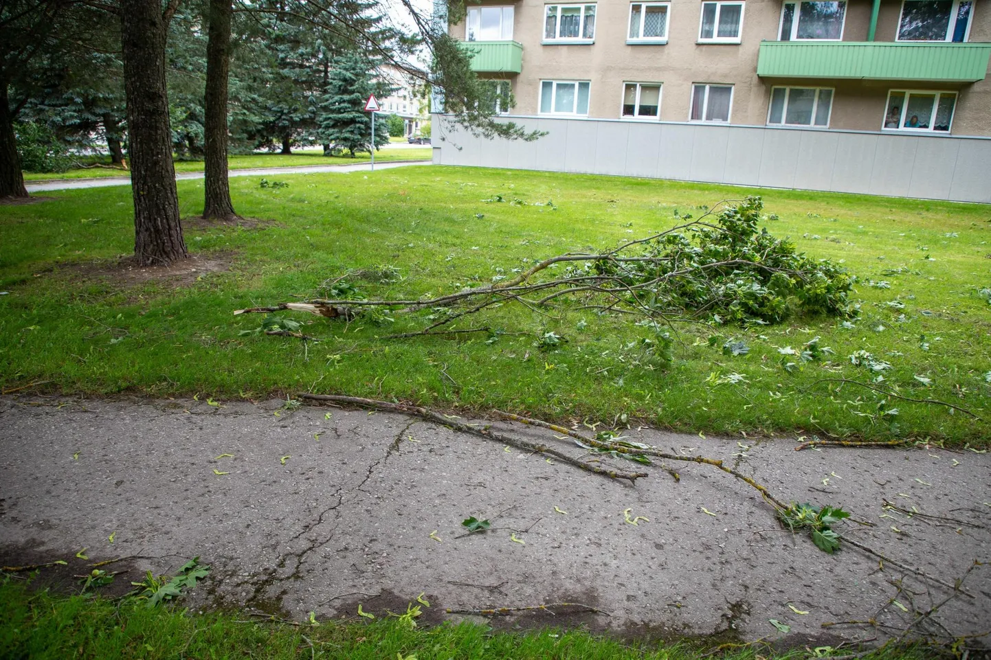Tugev tuul on mitmel pool Eestis põhjustanud elektrikatkestusi. Foto on illustratiivne.