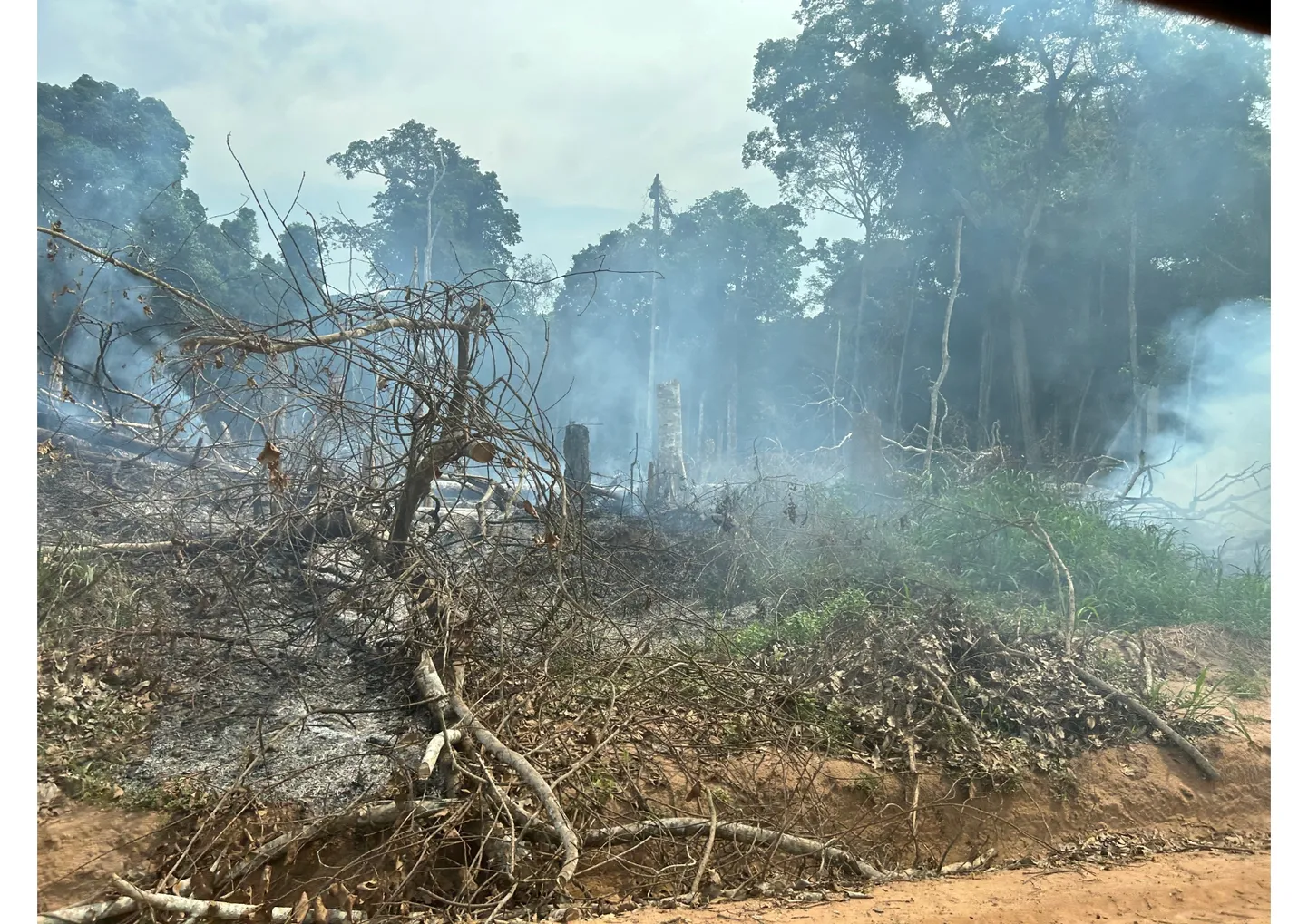 Alepõllunduseks põletatav vihmamets Kongos. Foto: Ülo Mander, märts 2024