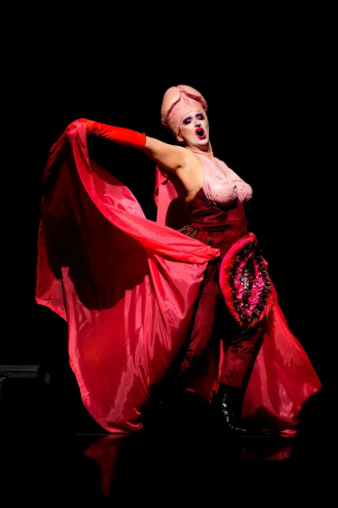 Әнші Максиммен порно