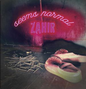 Zahir – "Seems Normal" FOTO: