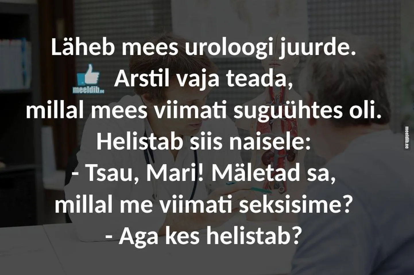 Artikli foto