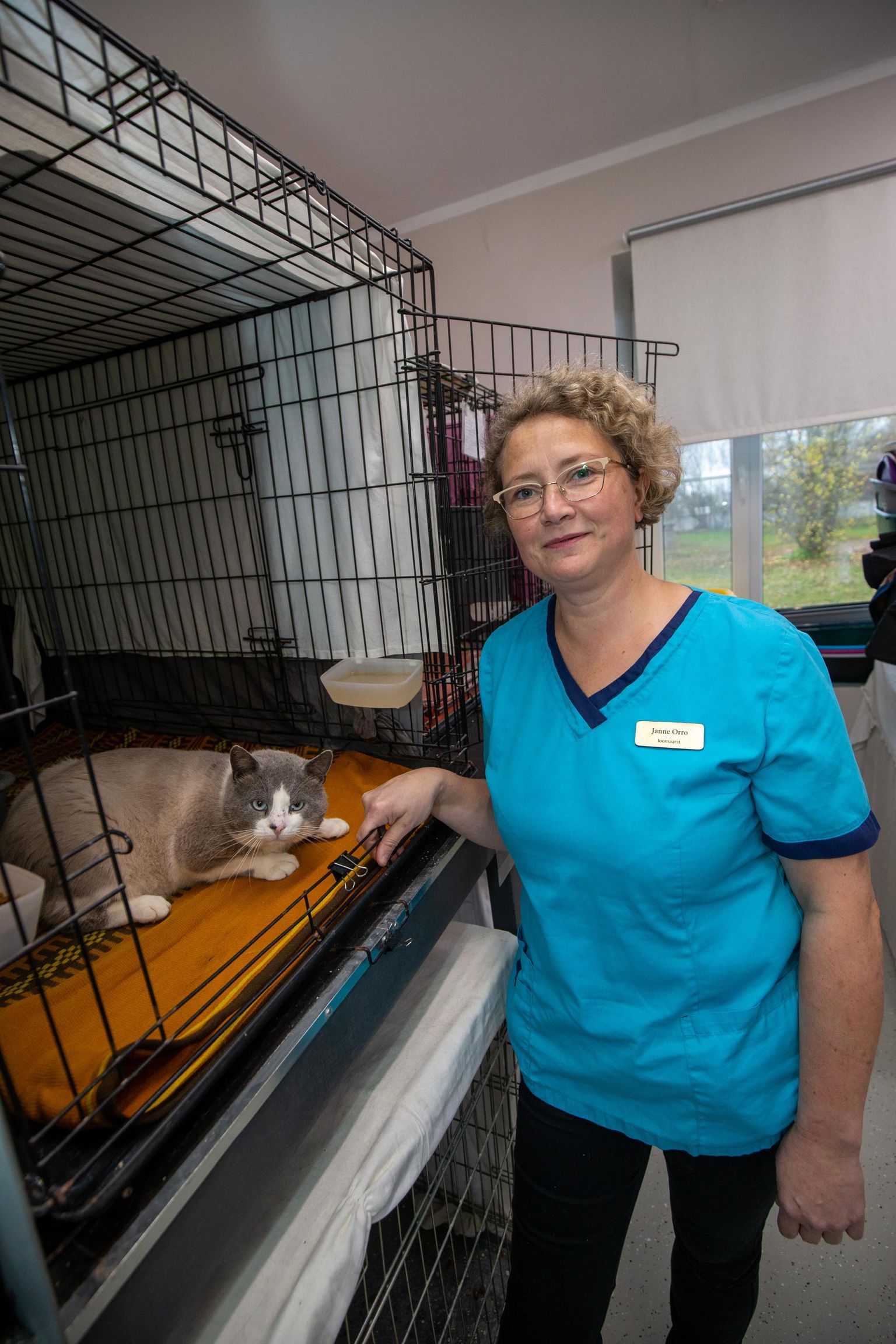 Tartu koduta loomade varjupaigas käib karvaste sõprade eest hoolitsemas veterinaar Janne Orro, kes andis ka Rolexile nime. «Ta on tõeliselt muljetavaldav ja võimas kõuts,» ütles Orro.