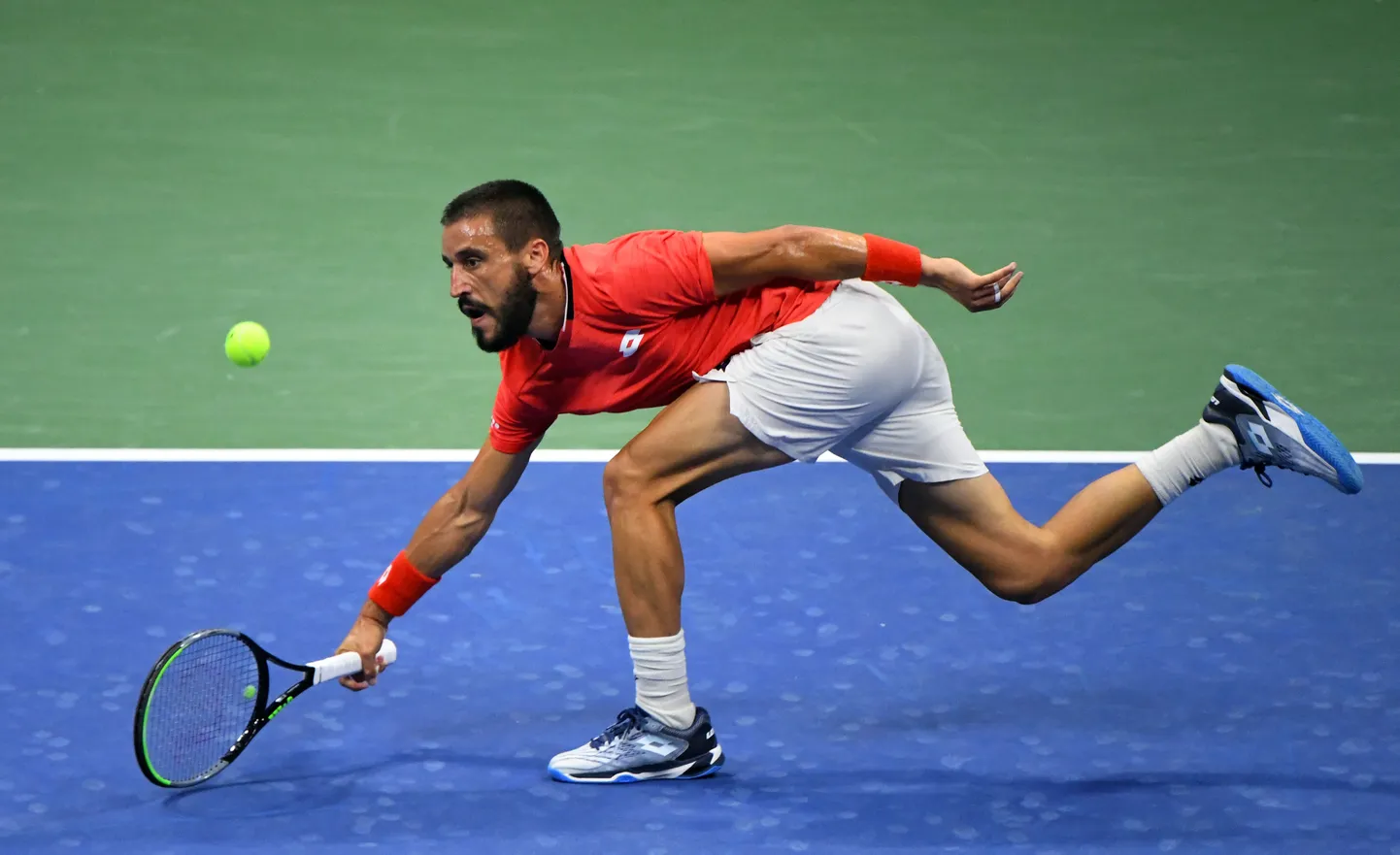 Damir Dzumhur.