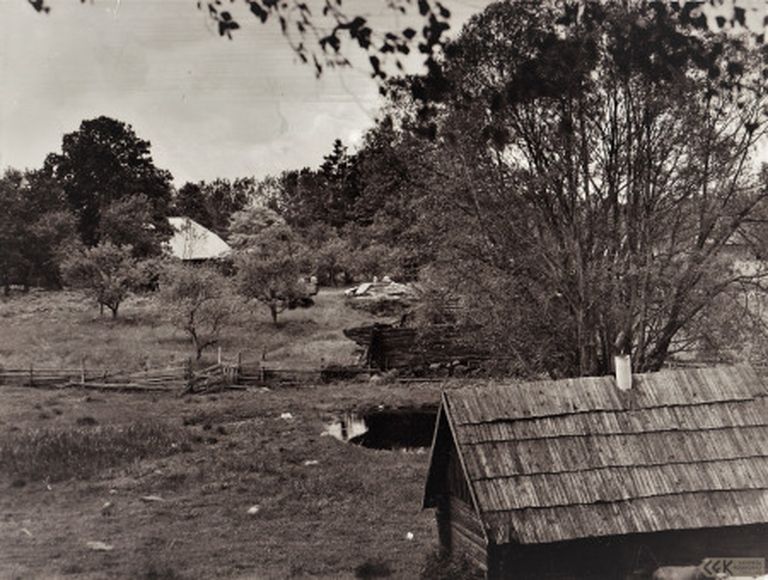 Emīla Pudeļa dzimtās mājas "Vecniguļi" Mazsalacas pagastā.