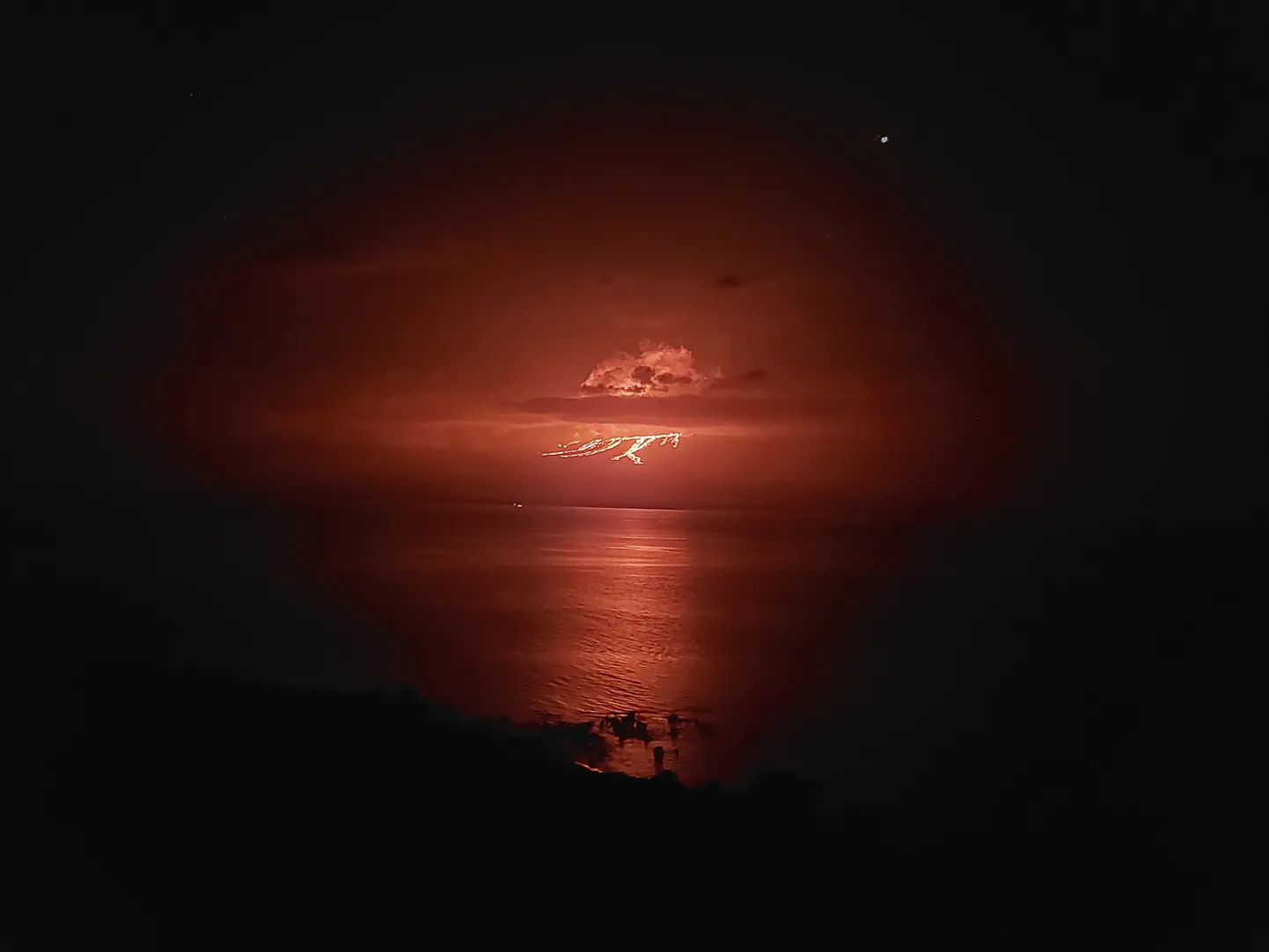 Artikli foto