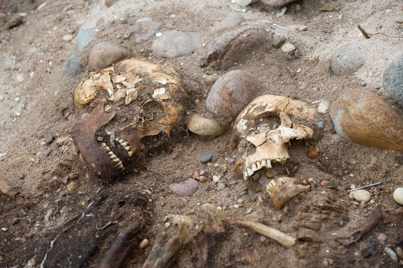 Salme külas leitud inimsäilmetega viikingilaeva väljakaevamised.
