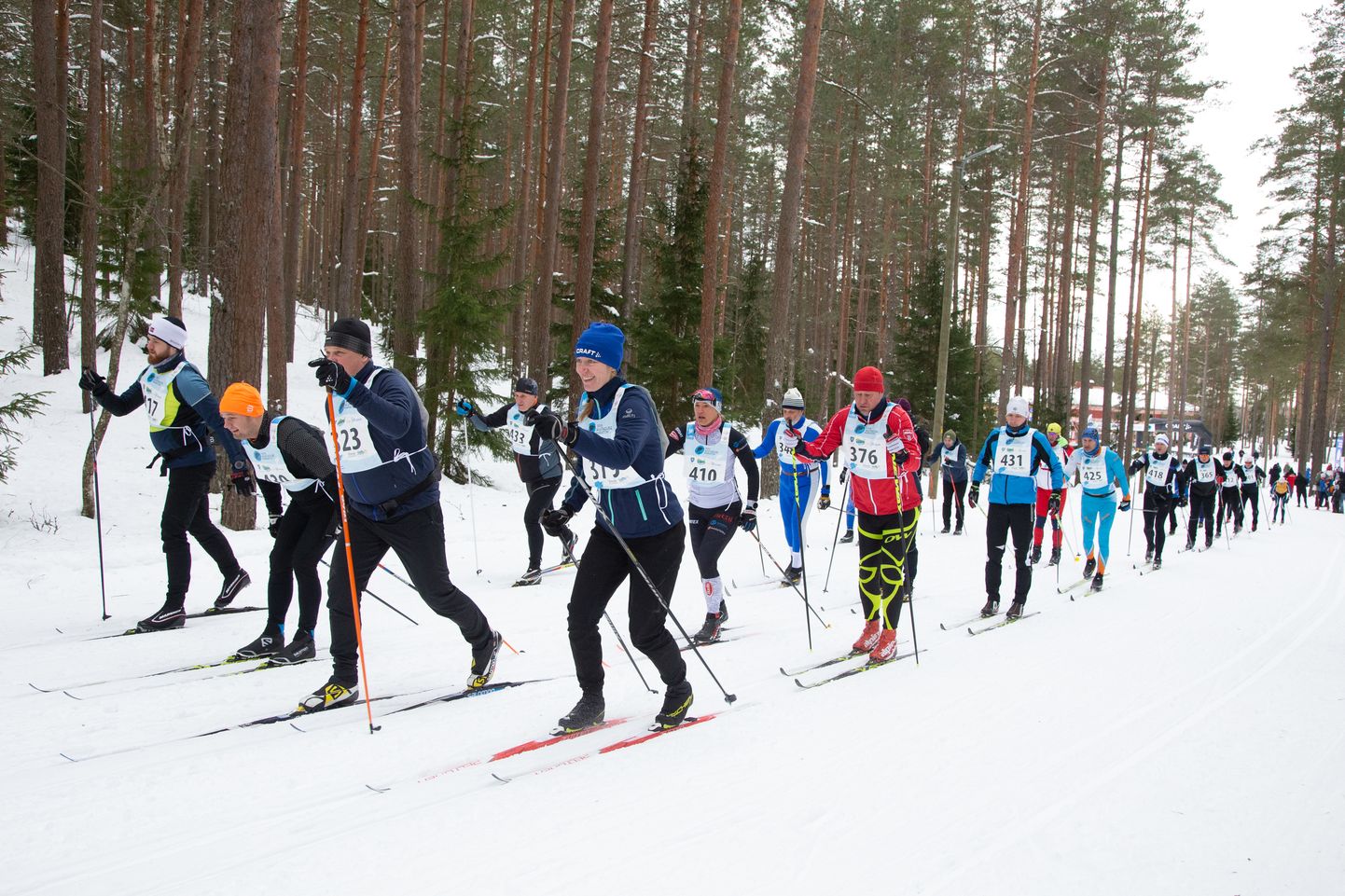 Ida-Viru talvine rahvaspordi suursündmus − Alutaguse maraton − sõidetakse sel aastal 10. veebruaril. Päev varem saab osaleda öömaratonil.