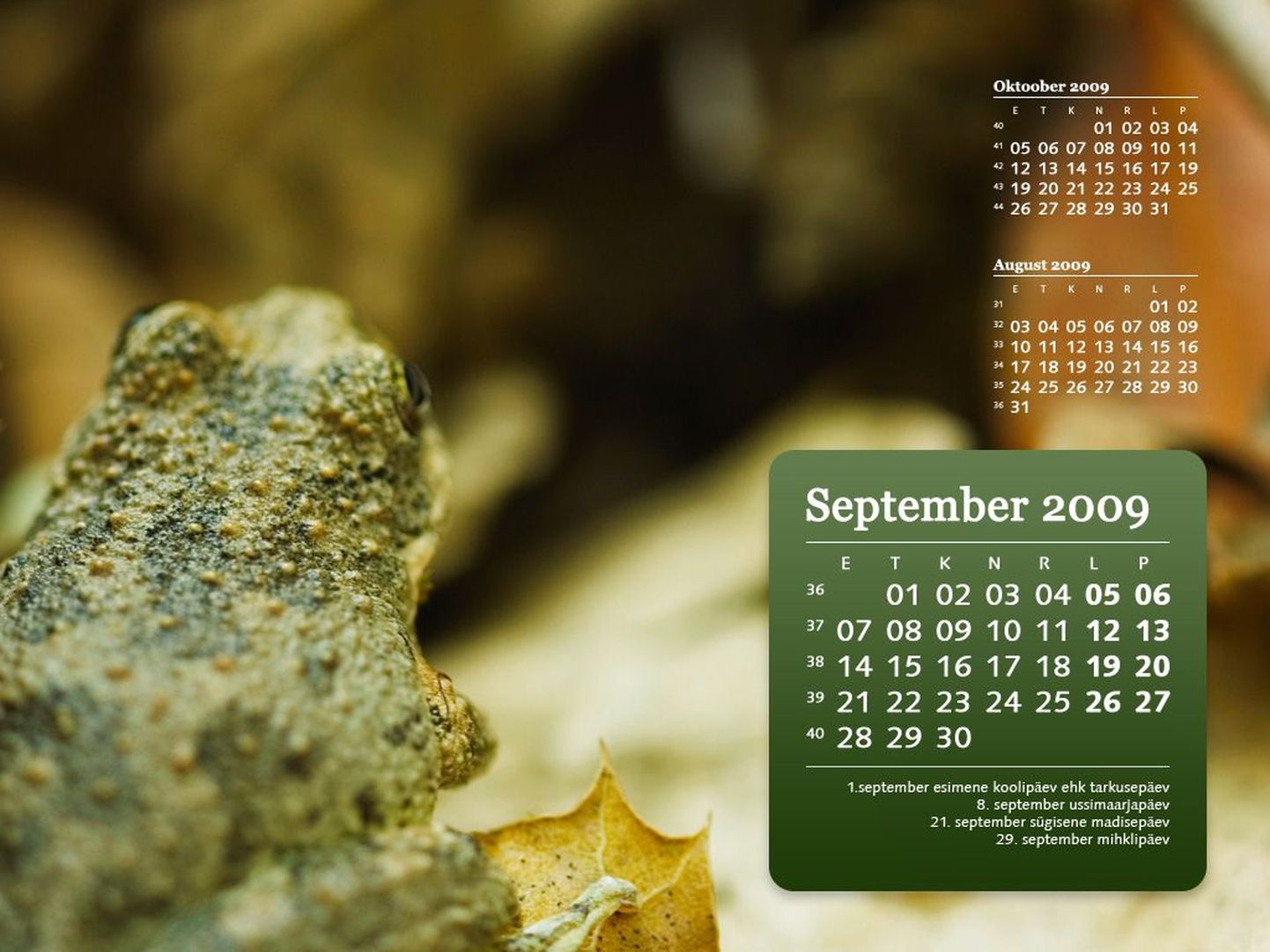 Septembri kalender