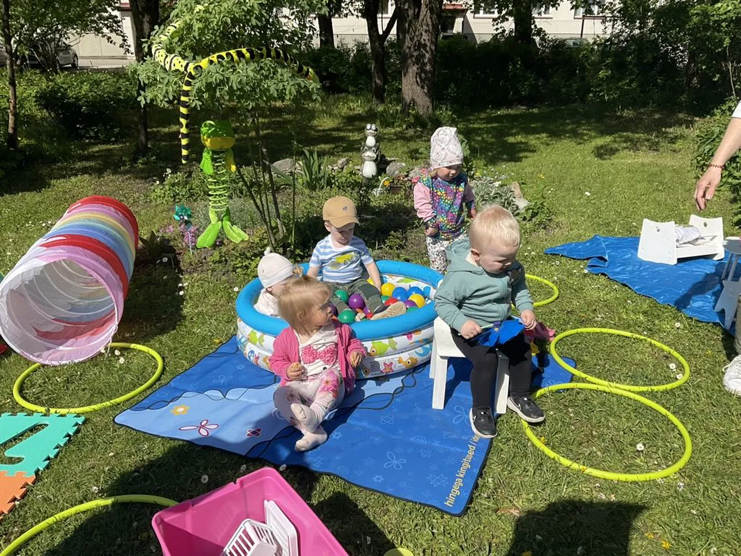 Sirjelinnu muusikastuudio beebikoolis lõpetas 28. lend