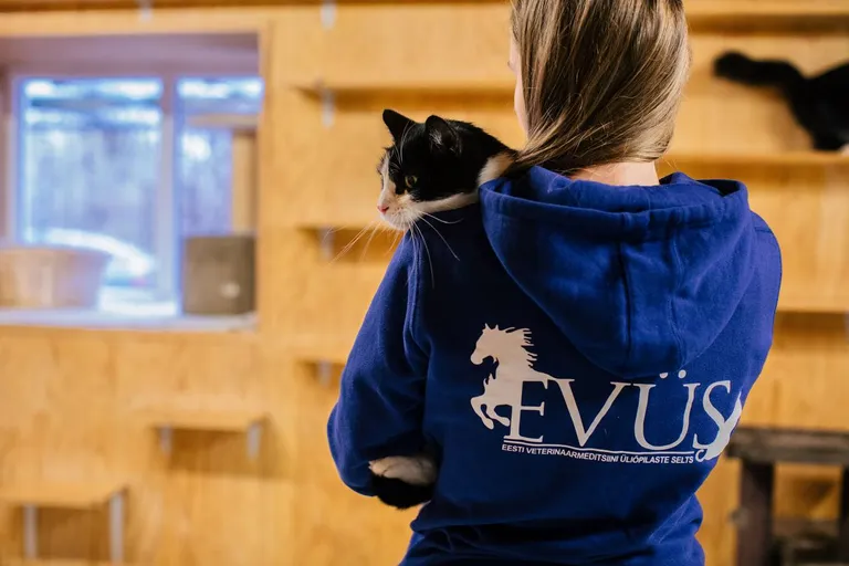 Студенческая организация EVÜS заботится о животных.