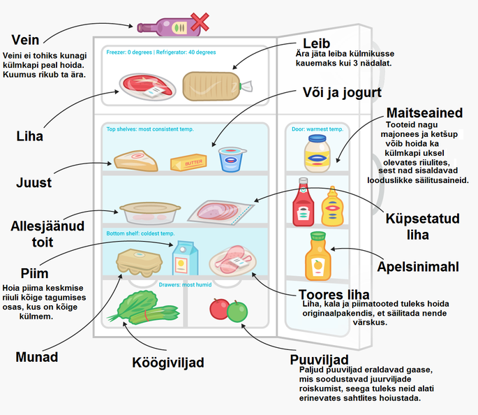 Как правильно хранить продукты в холодильнике на каких полках схема