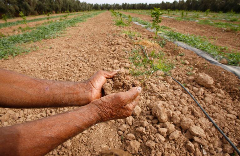 Maroko farmer näitamas kui kuiv on pinnas
