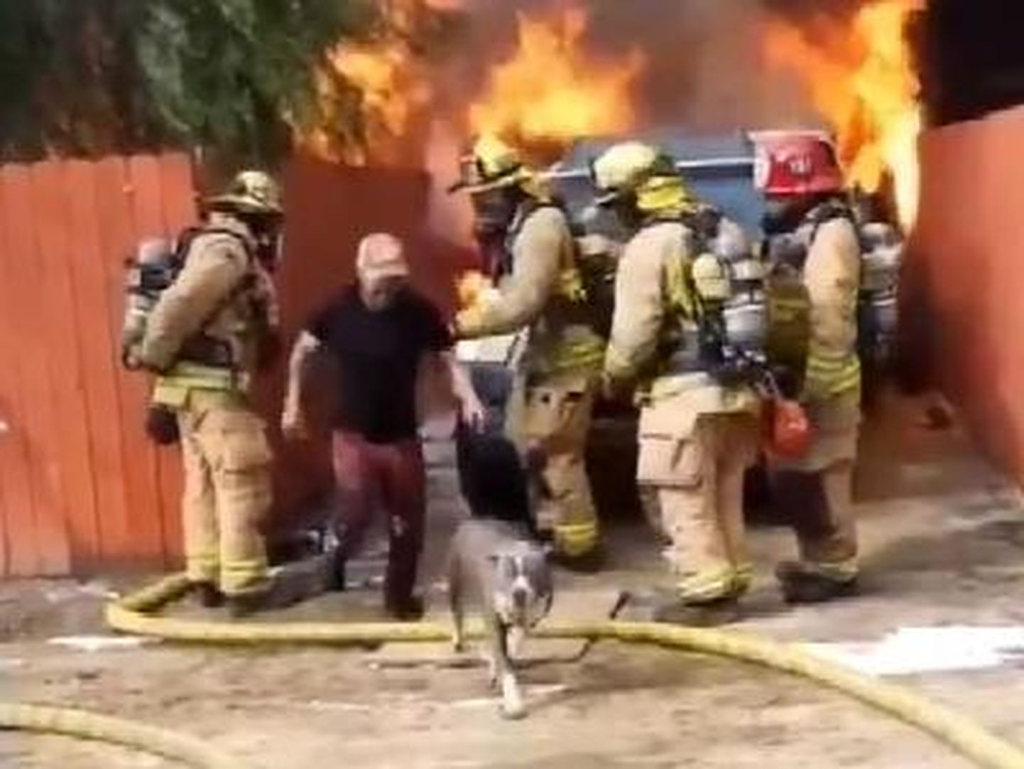Jose Guzman päästis põlengust oma koera