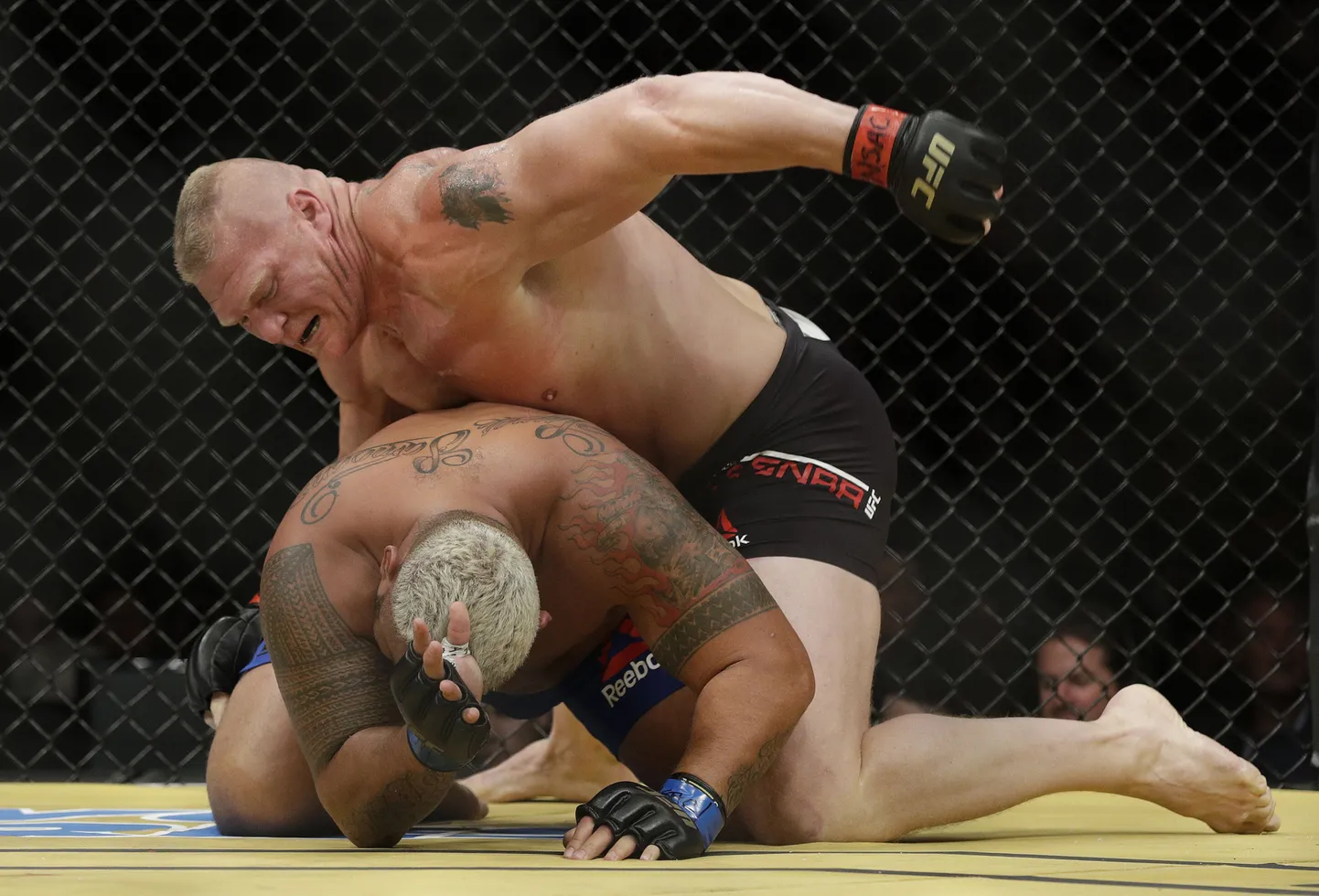 Brock Lesnar (pealmine).