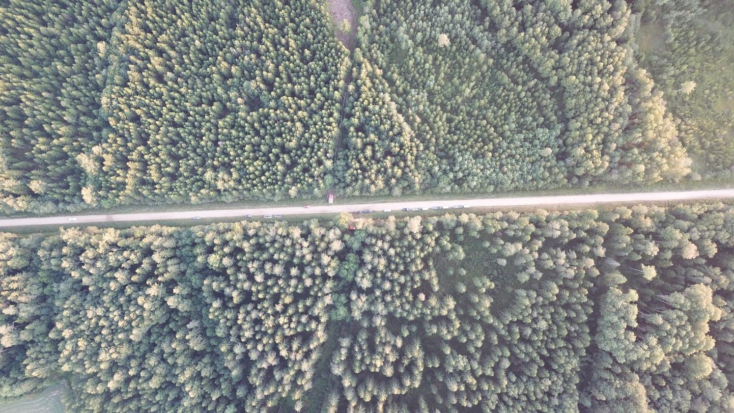 Metsapõleng Lätis Mazsalaca maakonnas.