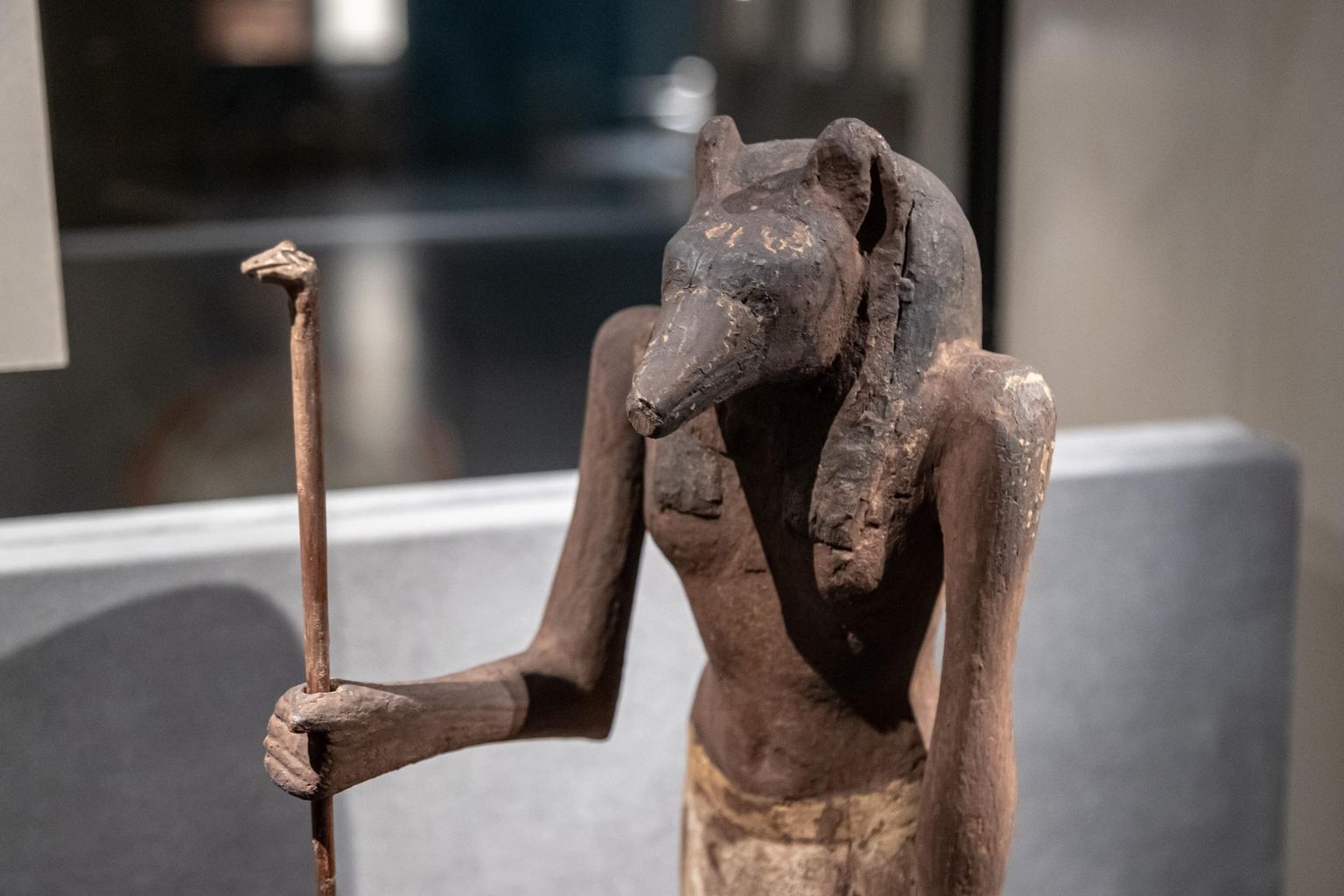 Egiptuse jumalatel oli sageli looma pea ja inimese keha.