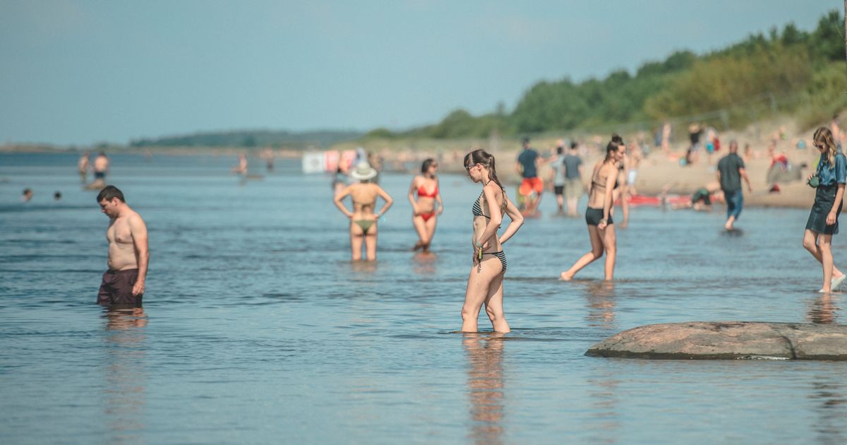 Можно ли купаться в море. Купание в Балтийском море. Балтийское море купаться. Балтийское море пляж купаются. Люди купаются в Балтийском море.