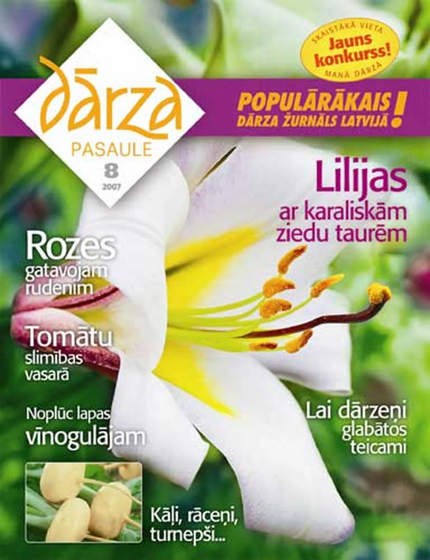 Raksta foto