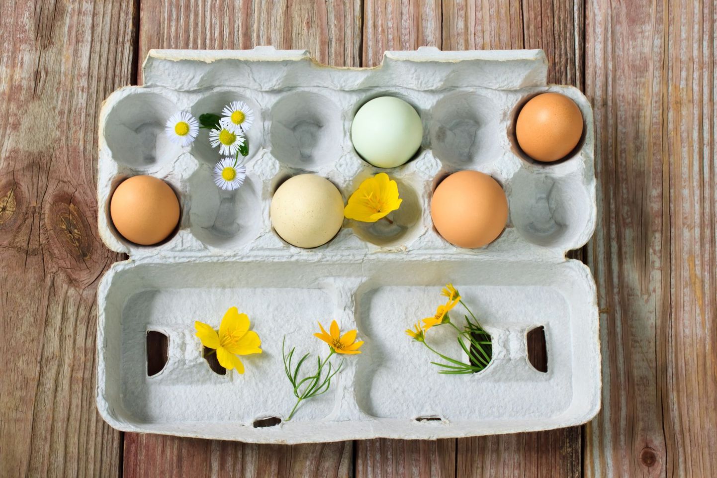 Munapühade aegu kasvab munade tarbimine mitmekordseks.