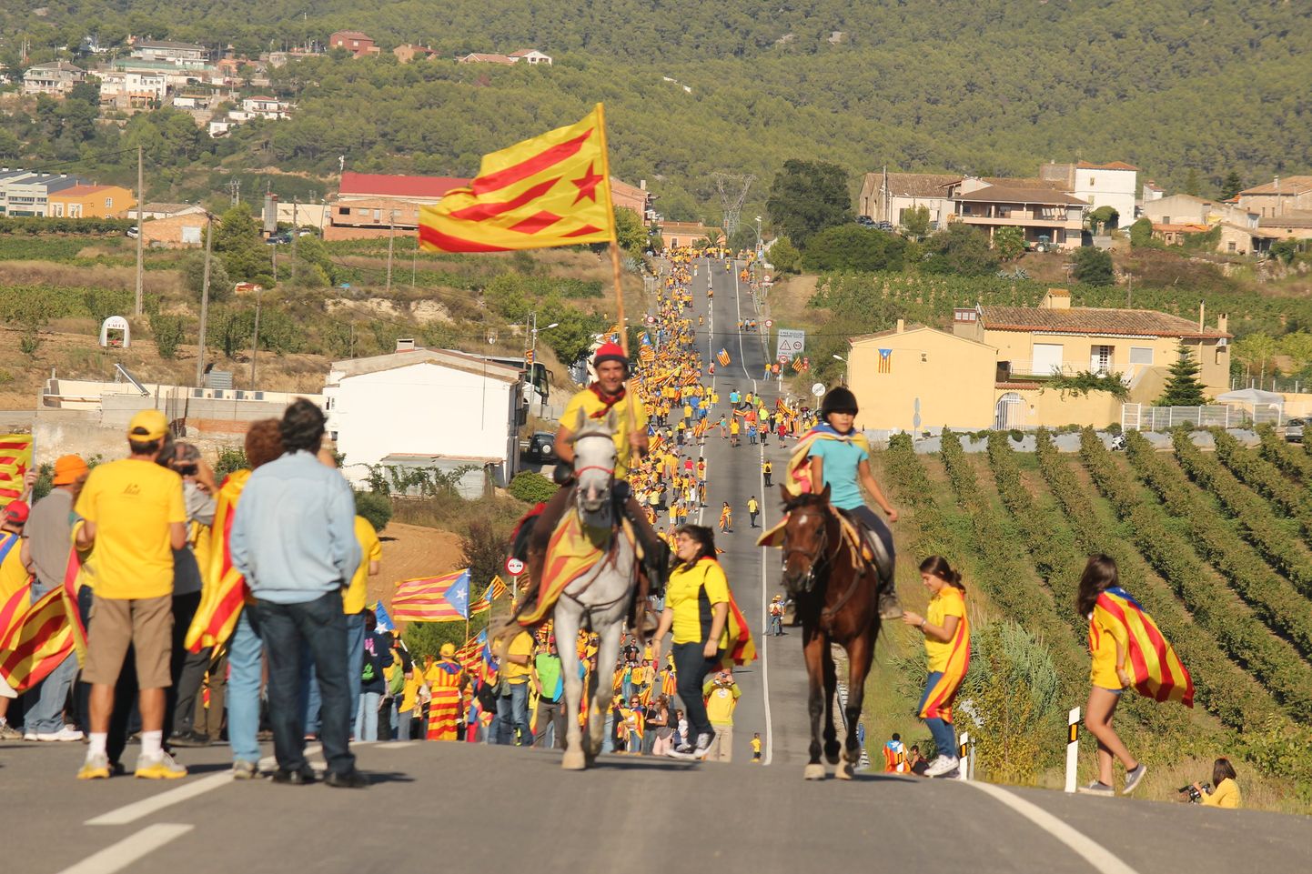 Katalaanide Balti-stiilis kett septembris 2013.