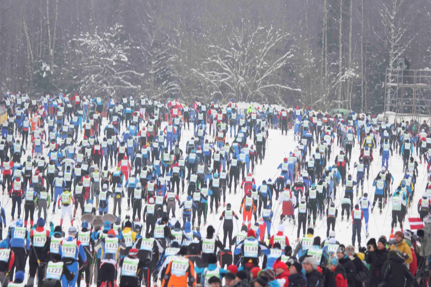 Tartu maraton. Foto on illustreeriv
