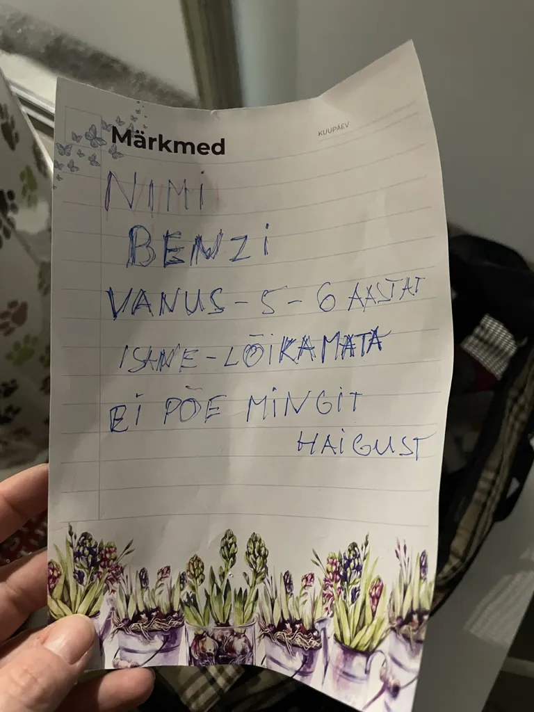 Pesaleidja ukse taha hüljatud kassi juurest leitud kiri.