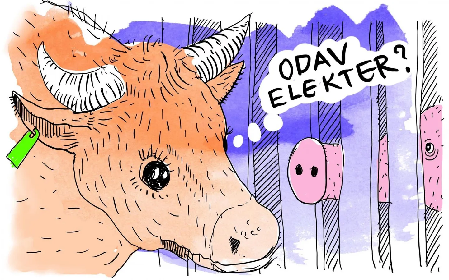 Elektri hinnatõus mõjutab tugevalt loomapidajaidki.