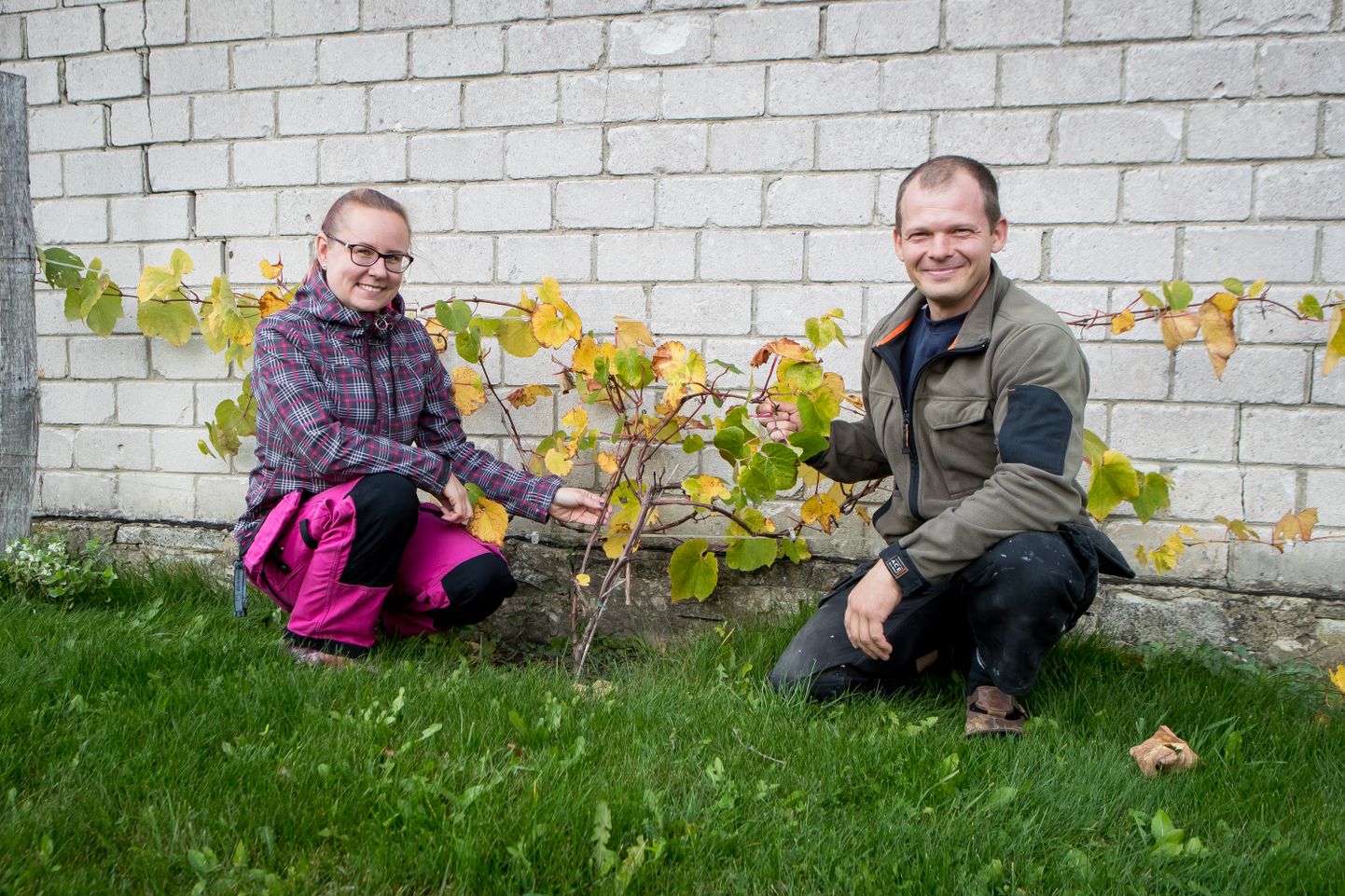 RAAMIST VÄLJA: Janar Lipp ja Sigrid Kivimaa plaanivad teha Valjala kohta midagi ebaharilikku – istutada viljapõllule viinapuid.