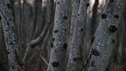 Kādi laikapstākļi gaidāmi nedēļas nogalē