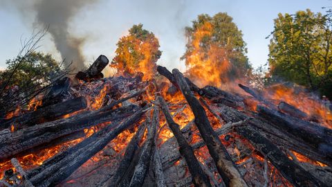 NÄDALA PÜHA ⟩ Jaaninädal, mitte jaanipäev
