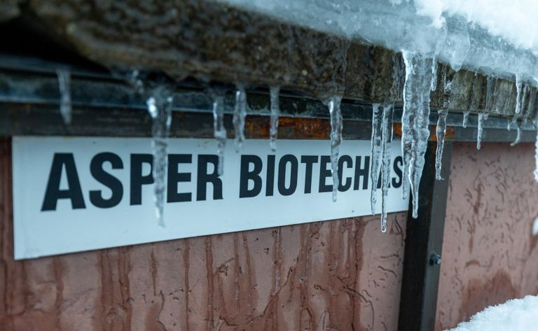 Asper Biotech AS/ Asper Biogene OÜ tegutseb Tartus Vaksali tänaval.