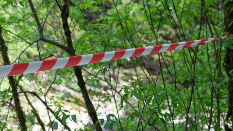 Kohvrist surnuna leitud sisulooja võidi matta elusana