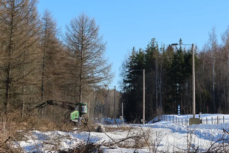 Raksta foto