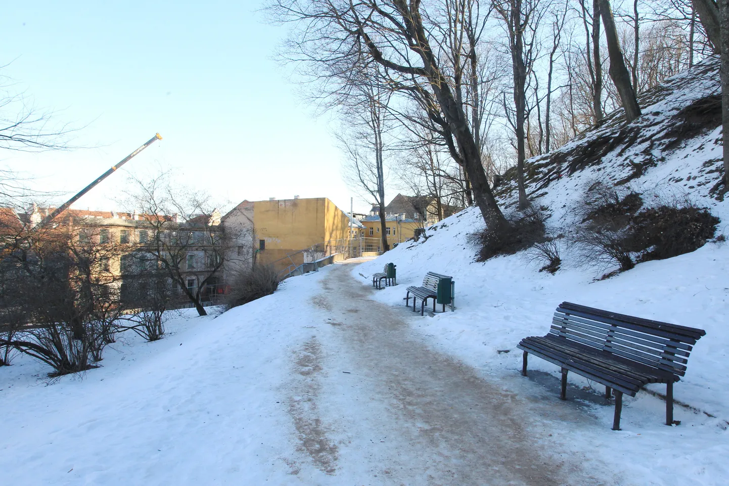 Tartu linn loodab keskkonnainvesteeringute keskuse toel kindlustada Toome nõlva Pirogovi platsi piirkonnas, et pidurdada pinnase erosiooni.
Pildil Pirogovi plats.
kt/Foto KRISTJAN TEEDEMA