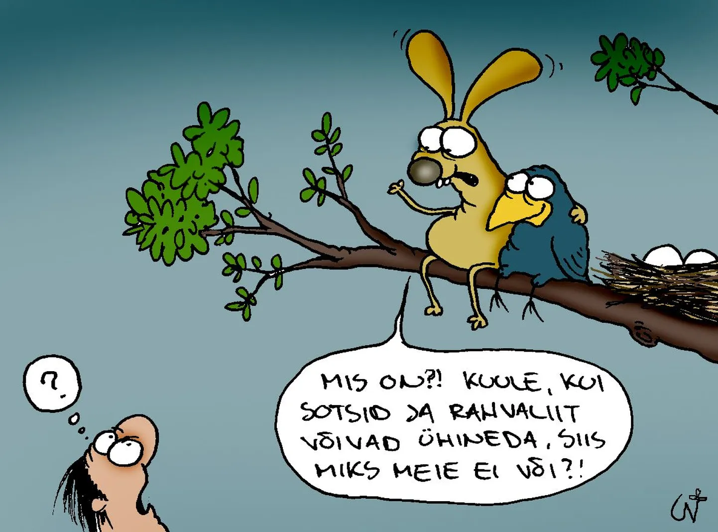 Artikli foto