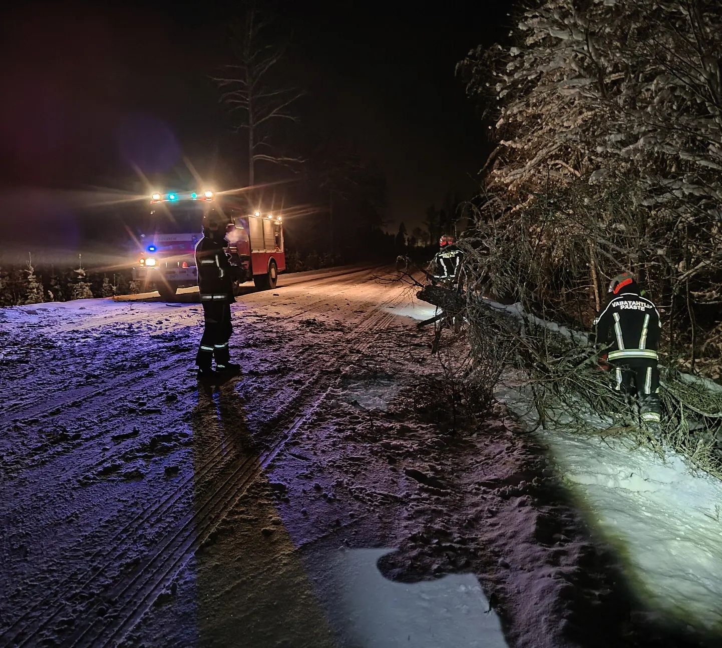 Järva-jaani vabatahtlikud päästjad eemaldasid tee peal suure puu, mis oli lume raskuse all kokku kukkunud ja õnnetul kombel mööda sõitnud bussi katust tabanud.