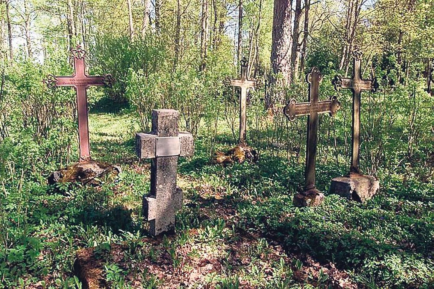 Kalmistuseadusega nõutud korda maetute ja hauaplatside hooldajate üle polegi tagantjärele nii lihtne sisse seada, kui esmapilgul ehk paistis.