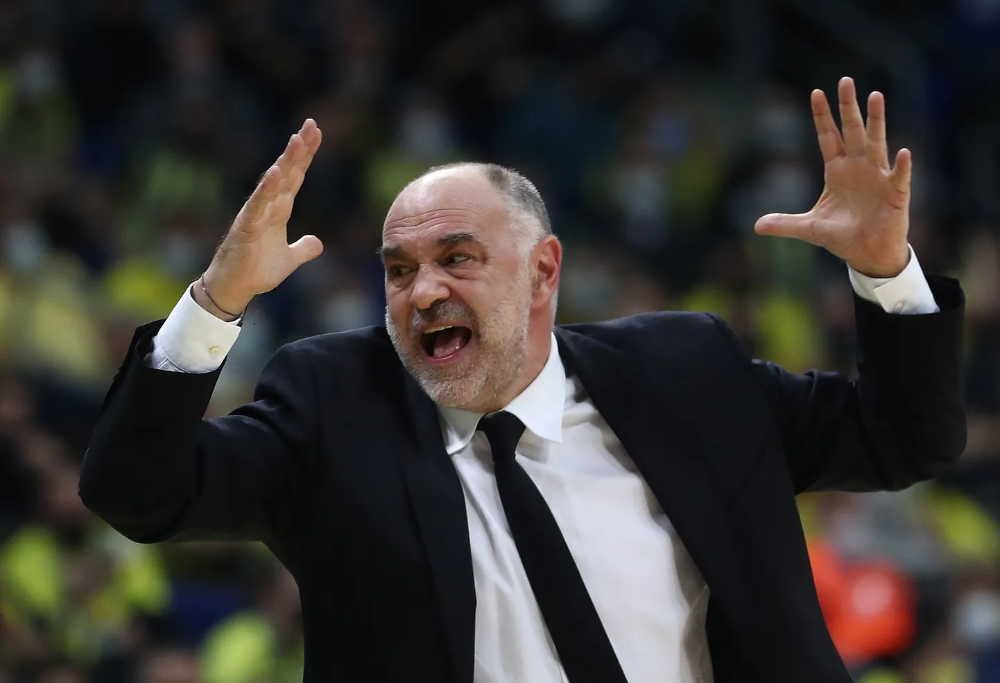 Madridi Reali Pablo Laso.