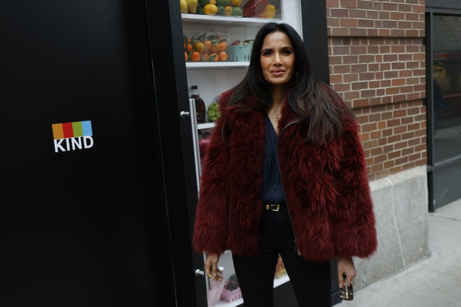 Modell, näitleja, telesaatejuht ja autor Padma Lakshmi.